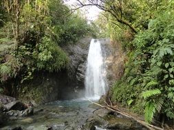 waterfall in tropical forest in Latin America