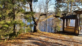 Finnish park in spring