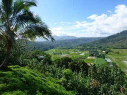 distant view of a farm on the island of Kauai in Hawaii