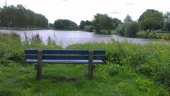 Wooden Bench on a river bank