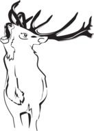 clipart of deer animal