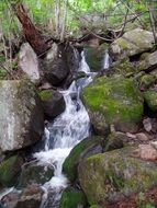 fall water cascade in stones