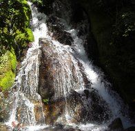 mountain stream flows through the rock