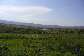 Valley in the countryside