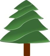 coniferous green tree as a graphic image