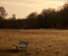 bank sunset sepia