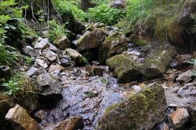 A river flows over stones in the mountains