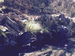 scenery photo of a stream in the countryside