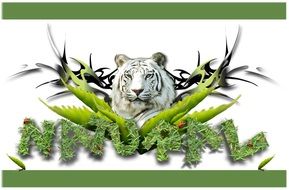 logo with a white tiger