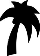 black palm on white background