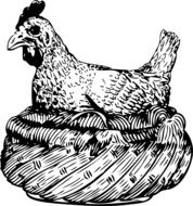 graphic image of chicken on the basket