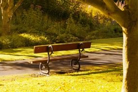 autumn bench and gold grass park scene