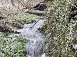 water flow among nature