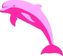 painted pink dolphin