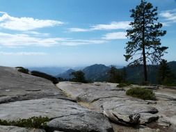 Sequoia national park