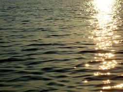 water in the sun