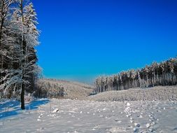 winter panorama