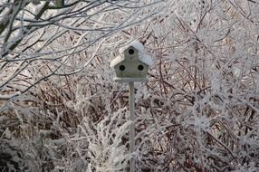 snow nest box