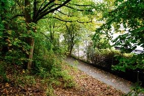 path in the autumn park