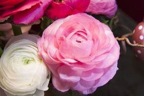 roses of different colors in a bouquet close-up