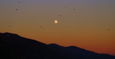landscape of a flock of birds flies over the mountains against the backdrop of the sunset and the moon