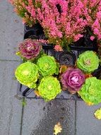 decorative flowers in a basket