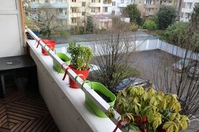 Flowerpots on the balcony