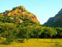 trees at the foot of the mountain