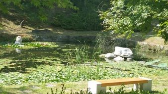 wooden bench near the pond in Korea