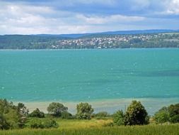 green bushes on the shore of Lake Constance