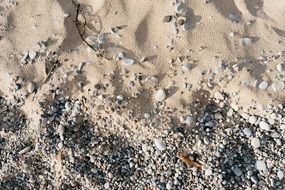 small pebbles on the sand along the ocean