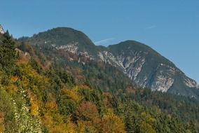 Austrian scenic woods landscape