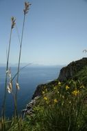 rocky bank on a mediterranean sea