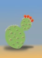 cactus in the desert dry sand
