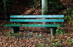 Green bench in a park