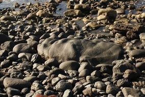 pebbles on the beach by the sea