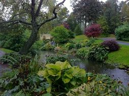 Green botanical garden in nature