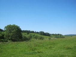 landscape meadow