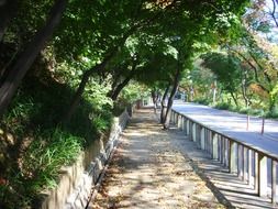 republic of korea road