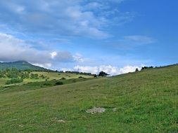 green hills with beautiful nature in the Alps in summer