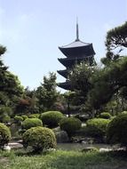 japan wooden temple in cute garden