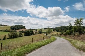 Landscape of the trees and road