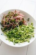 watercress microgreen on plate