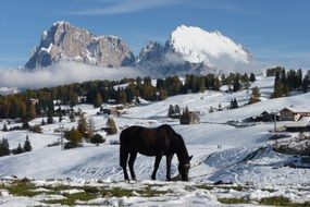 Seiser Alm in winter