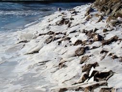 Landscape of the frozen river shore in a forest