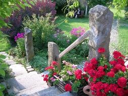 red flowers on a stone staircase