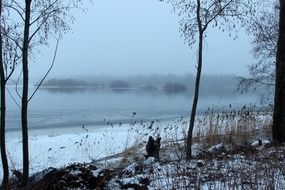 panorama of the river along the forest in winter in Finland