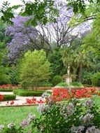 Landscape plants with red flowers in the park