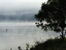 Foggy lake