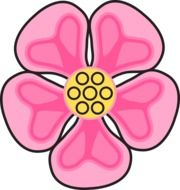Beautiful pink and yellow flower clipart